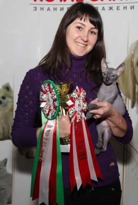 Выставка кошек 'Осенний Кэт-Салон' 30 ноября-1 декабря 2013., монопородные шоу 3642